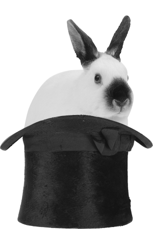 rabbit-hat.gif